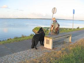 Op de dijk bij het Lauwersmeer